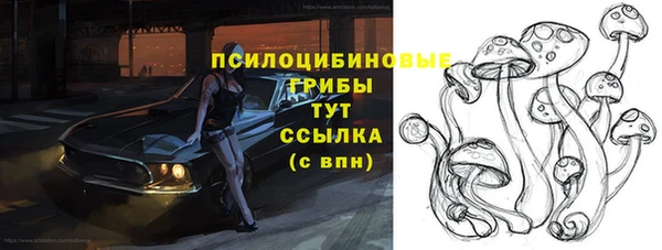 apvp Балабаново