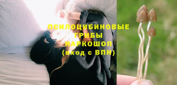 спайс Баксан