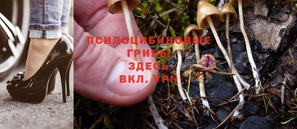 спайс Баксан