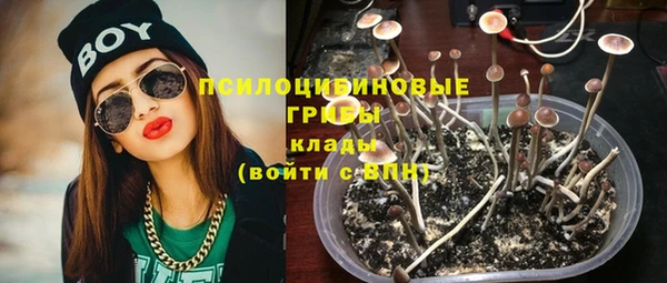 спайс Баксан